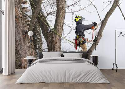 A professional tree surgeon cuts and trims a tree in winter time Wall mural