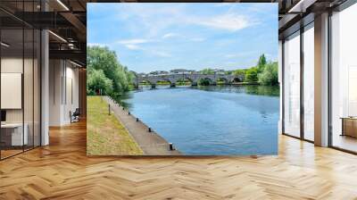 A view of Chersey Bridge from along the embankment on a summer day Wall mural