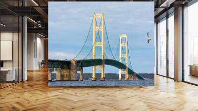 Mighty Mac and Seagull Wall mural