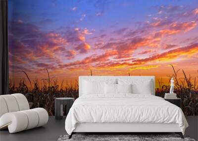 Vibrant Autumn Harvest - Corn stalks are silhouetted by a beautiful, vibrant sunset in the American Midwest. Wall mural