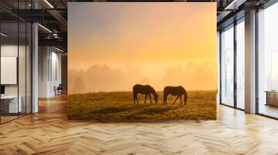 Morning mist Wall mural