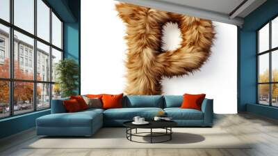 Furry letter P made of dog, cat and animal fur Wall mural