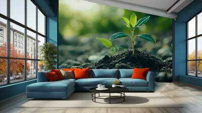 Small green sprout thriving under sun environmental conservation and growth concept Wall mural