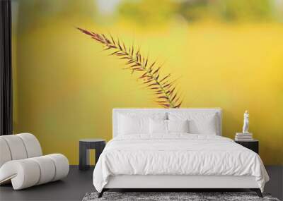 folwer of grass  with gold nature background Wall mural