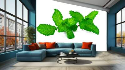 Fresh Peppermint leaves, isolated on white background Wall mural