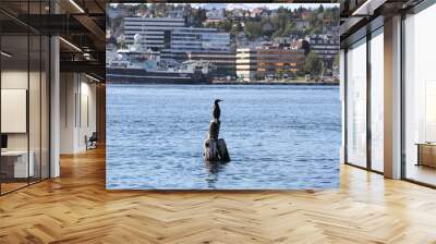 bird birds cormorants tromso tromsø  water travel tourism sea coast nature port blue landscape sky harbor architecture europe boatship mountain summer bay view city beautifull and mark mediterranean v Wall mural