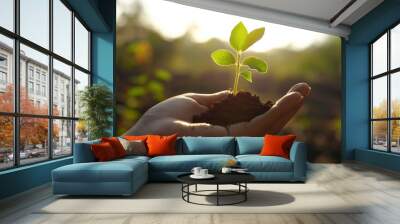 hand gently holds small plant sprouting from rich soil, symbolizing growth and hope in natural setting. sunlight enhances scene, creating warm and nurturing atmosphere Wall mural