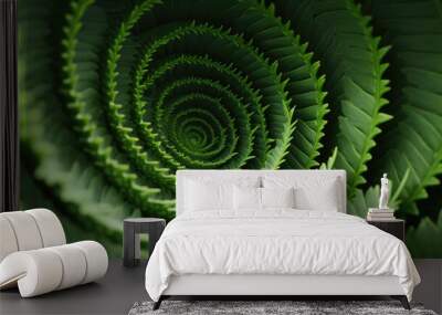 spiral aloe vera with water drops, closeup Wall mural