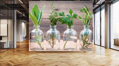 Bottle of essential oil with herbs rosemary, sage,parsley  and t Wall mural