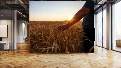 Farmer in a field of wheat at sunset Wall mural