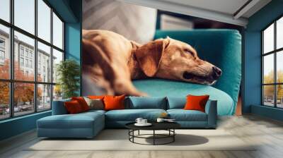 Dog sleeping on a sofa Wall mural