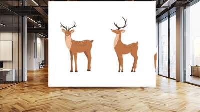 Cute noble sika deer. Set of reindeers with antlers in different poses isolated on white background. Ruminant mammal animal. Vector illustration in flat cartoon style. Wall mural