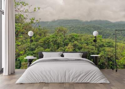 Landscape looking across the rain forest canopy Wall mural