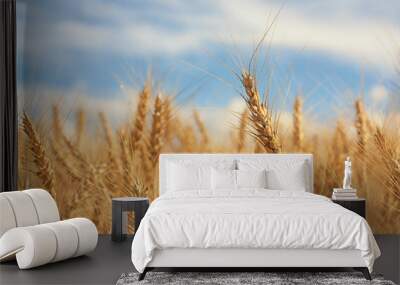 Macro of a piece of wheat amongst many. Wall mural