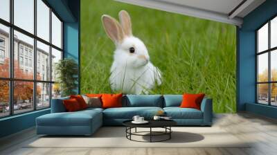 white rabbit on the grass Wall mural