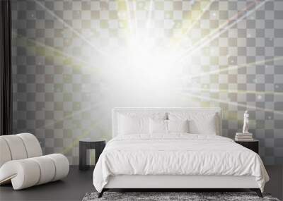 Glow light effect. Golden lights. Vector illustration Wall mural