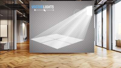 The light rays pass through the window. special effect for your artwork. Vector illustration Wall mural