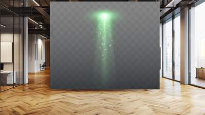 UFO light beam isolated on transparent background. Green Light. Vector illustration Wall mural