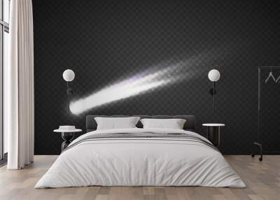 Vector comet with large dust. Falling Star. Glow light effect. Wall mural