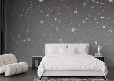 Vector snowfall isolated. Winter background. Snow overlay illustration. Snowflakes and ice. Wall mural