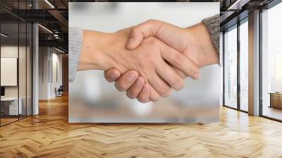 white caucasian male hand shaking hands, business agreement closeup, conference room setting, professional deal Wall mural