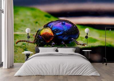  A close up of a tiny metallic iridescent insect Wall mural