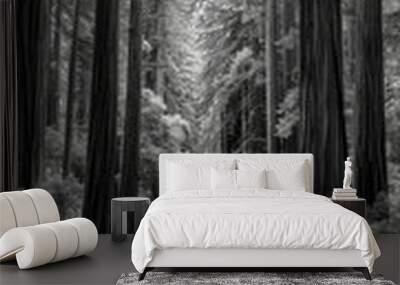 road in the woods  in black and white Wall mural