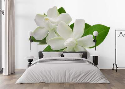 White Gardenia flower or Cape Jasmine (Gardenia jasminoides), isolated on a white background Wall mural