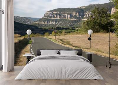 Open Road, Pesquera de Ebro; Burgos Wall mural