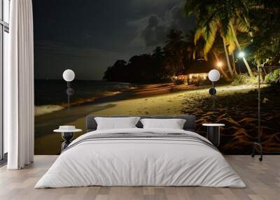 a beach at night with palm trees and a house Wall mural