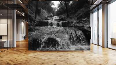 a black and white photo of a waterfall Wall mural