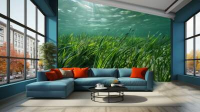 a bunch of grass that is under water Wall mural