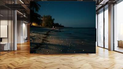 a night time view of a beach with stars in the sky Wall mural