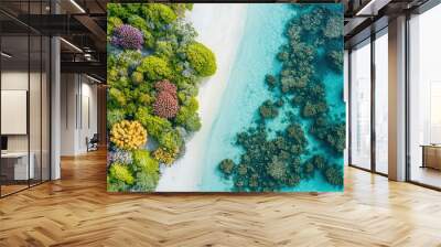 an aerial view of a sandy beach and blue water Wall mural