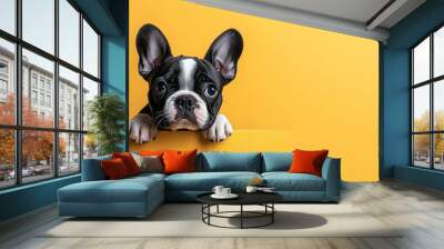 Banner for Web of French Bulldog pet with a happy face at funny birthday party wearing colourful hat yellow background. Holidays celebrations concept. Advertising postcards. Generative AI Technology Wall mural