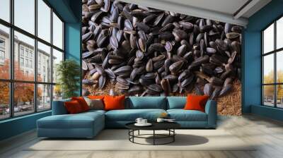 Overhead view of black sunflower seeds Wall mural