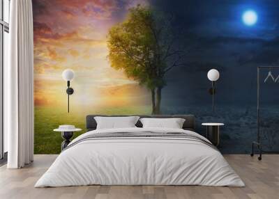 Night and day Wall mural