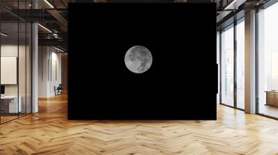 Full Moon Wall mural