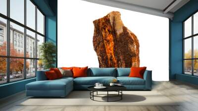 Petrified Wood Specimen Wall mural