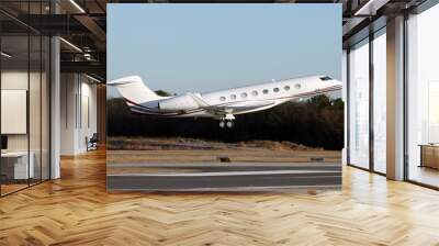 Gulfstream 650 Private Jet - Taking off from Atlanta Peachtree DeKalb Airport Wall mural