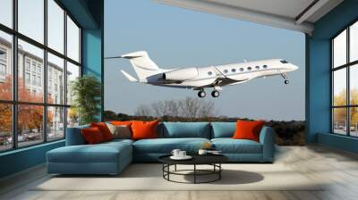 Gulfstream 650 Private Jet - Taking off from Atlanta Peachtree DeKalb Airport
 Wall mural