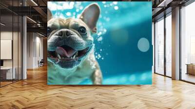 happy French Bulldog Swimming at Pool Party: Excited Pet Playing in Water. Fun Summer Vacation Concept for Decorative Art, NFT Design, Fashion Prints, and Marketing Campaigns. Vibrant 4K Wallpaper Ba Wall mural