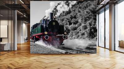 Train details Wall mural