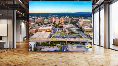 Aerial of Downtown Greenville SC South Carolina Skyline Wall mural