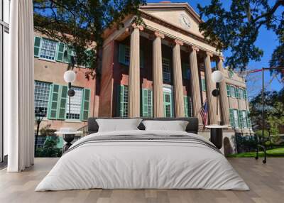 College of Charleston Main Building in South Carolina SC Wall mural