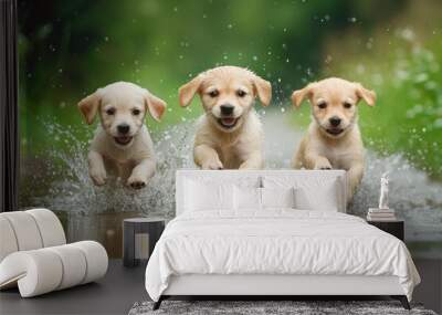 three puppies running through a body of water Wall mural