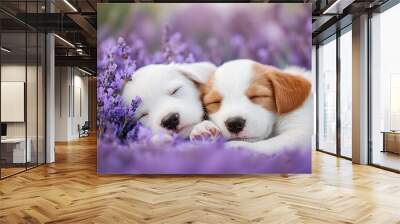 two puppies are sleeping in a field of lavender Wall mural