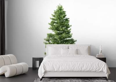 3D Christmas Trees Isolated on PNGs transparent background , Use for visualization in architectural design or garden decorate	
 Wall mural