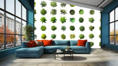 big collection of 3d top view green trees isolated on white background , use for visualization in ar Wall mural