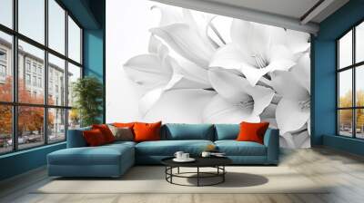 Black and white composition of Amaryllis. Background with flower.  Wall mural